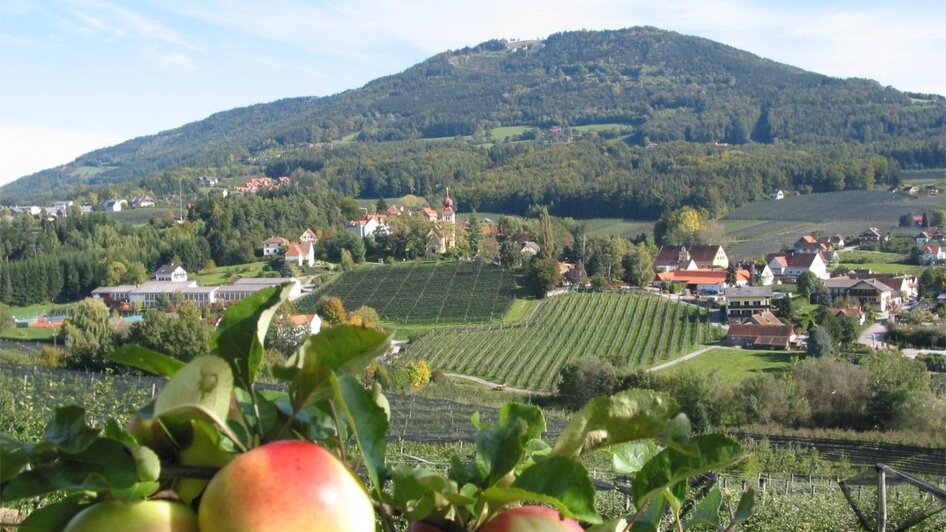 Fruit Farm Pirchheim In Puch Bei Weiz Steiermark